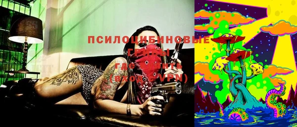 спайс Баксан