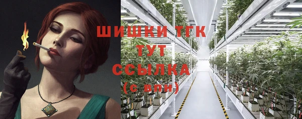 тгк Аркадак