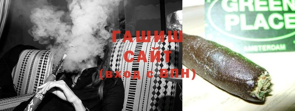 сатива Заводоуковск