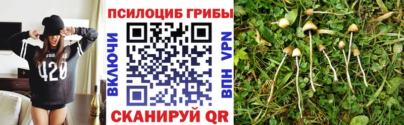 что такое наркотик  Олонец  Псилоцибиновые грибы MAGIC MUSHROOMS 