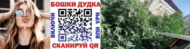 МАРИХУАНА OG Kush Олонец